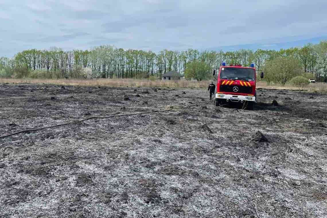 Цьогоріч на Житомирщині сталися майже 300 пожеж в екосистемах