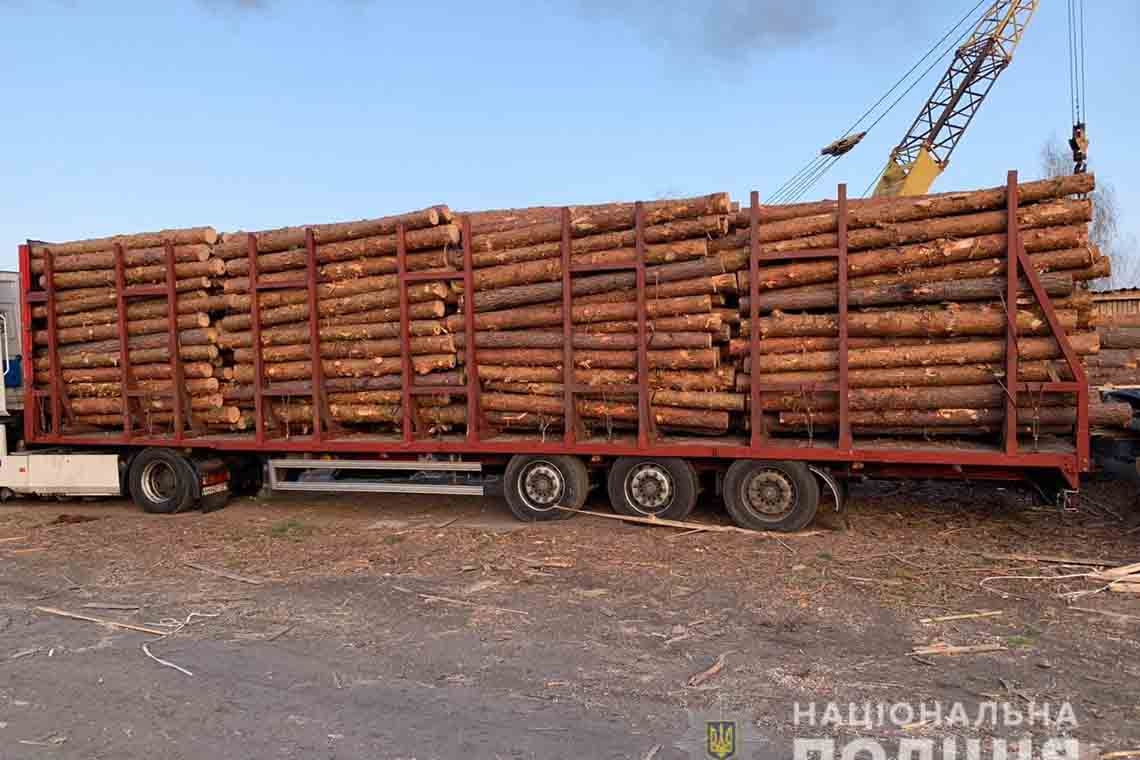 На лісопереробних підприємствах Коростенського району - обшуки 📷ФОТО