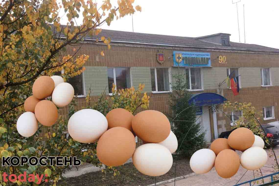 Коростенський водоканал на понад 100 тис. грн придбав яєць