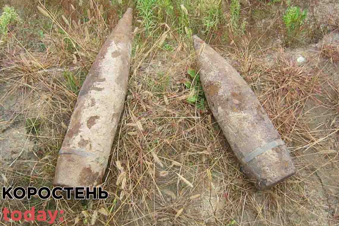 Піротехніки на Коростенщині знищили чотири боєприпаси часів минулих війн