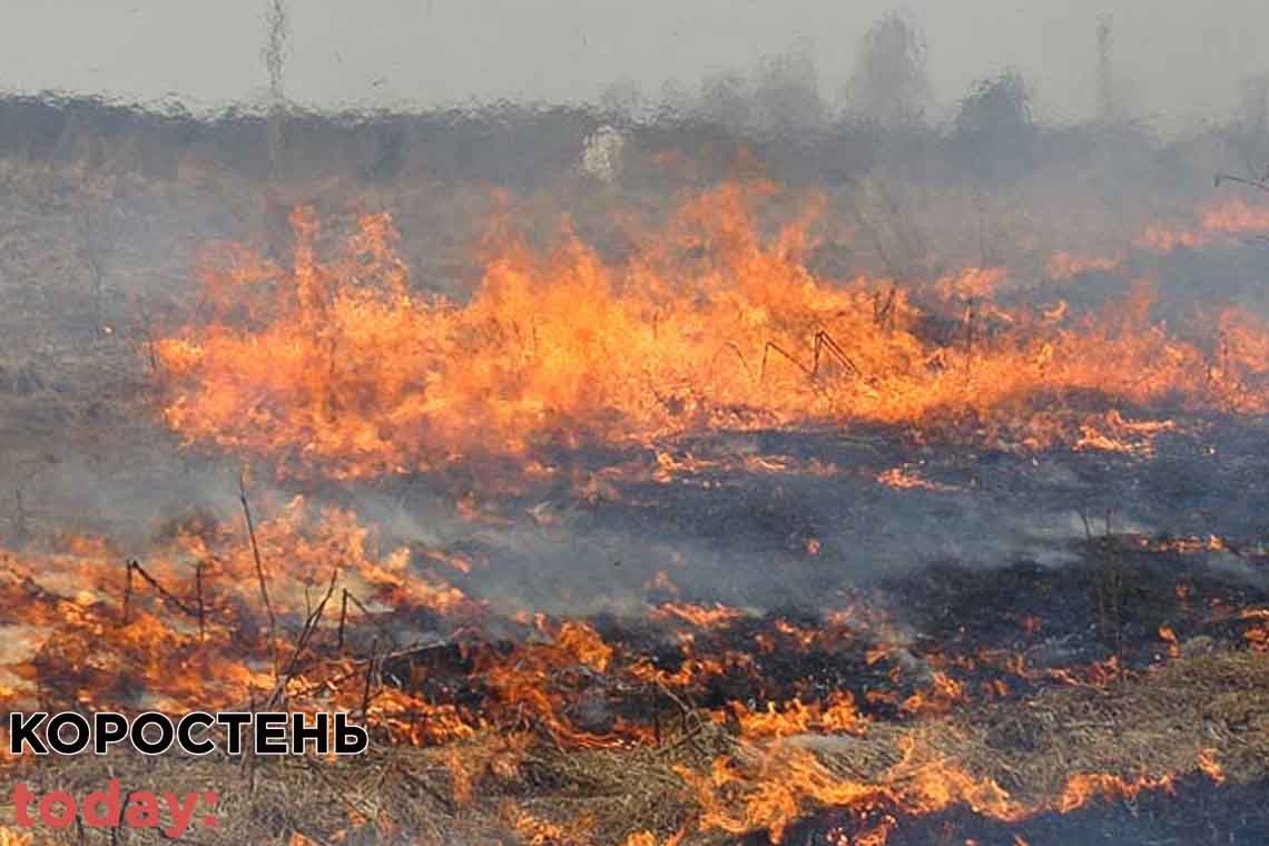 На Коростенщині боролись з вогнем який ледь не знищив лісовий масив