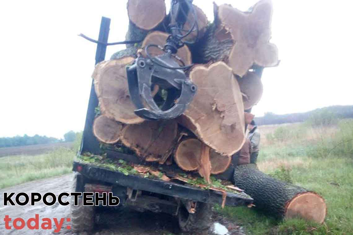 В Коростенському районі лісова охорона Лугинського лісгоспу спільно з поліцією зупинили вантажівку з краденим лісом