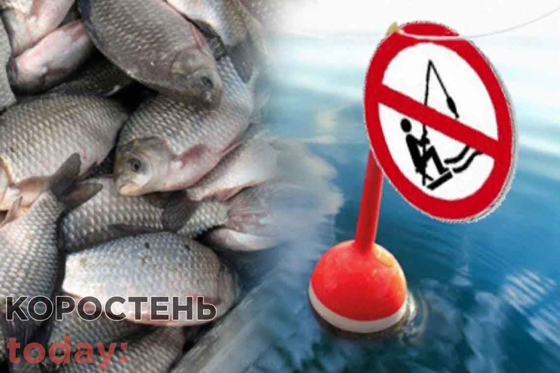 З 1 листопада на Житомирщині забороняють вилов риби у зимувальних ямах