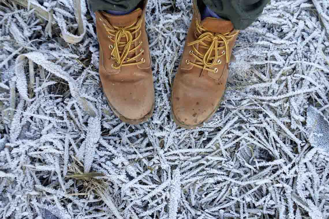 На вихідних у Житомирській області очікуються 5-градусні морози