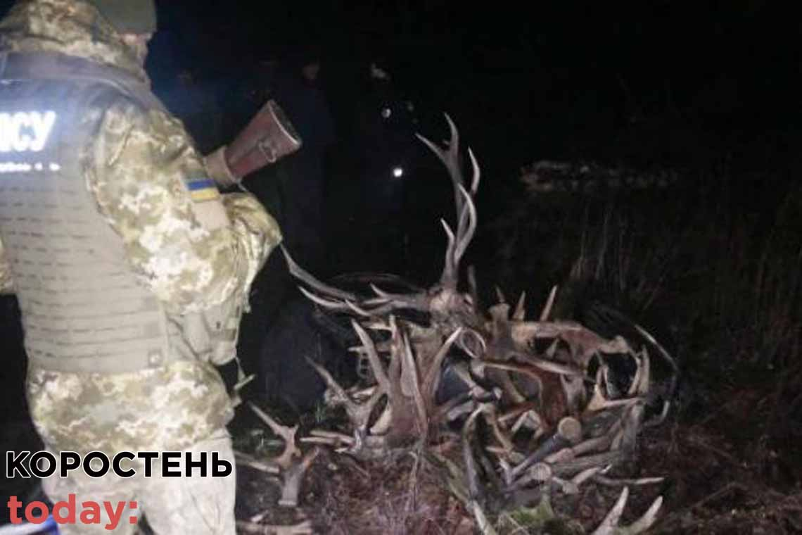 У Чорнобильській зоні затримали збирачів радіаційно забруднених рогів тварин