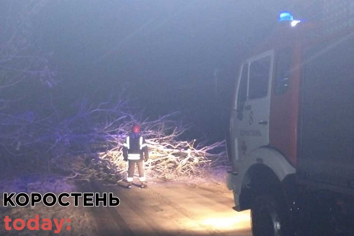 У селі Коростенського району рятувальники прибирали дерева, які попадали на дорогу