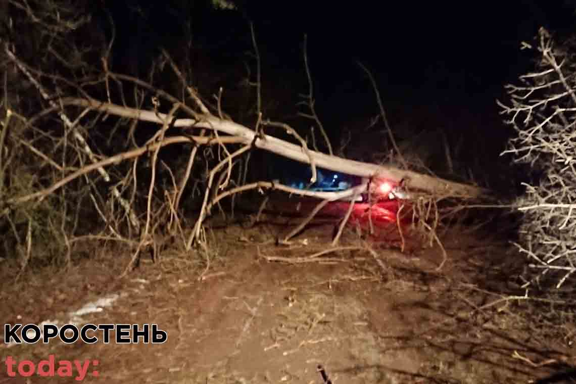 Коростенські рятувальники прибрали з дороги повалені дерева (ФОТО)