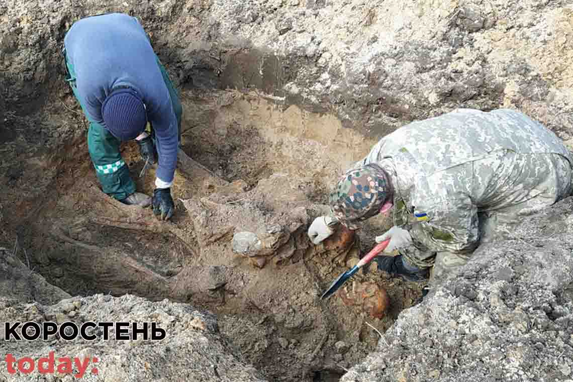 У Коростенському районі пошуківці знайшли рештки двох солдатів 📷ФОТО