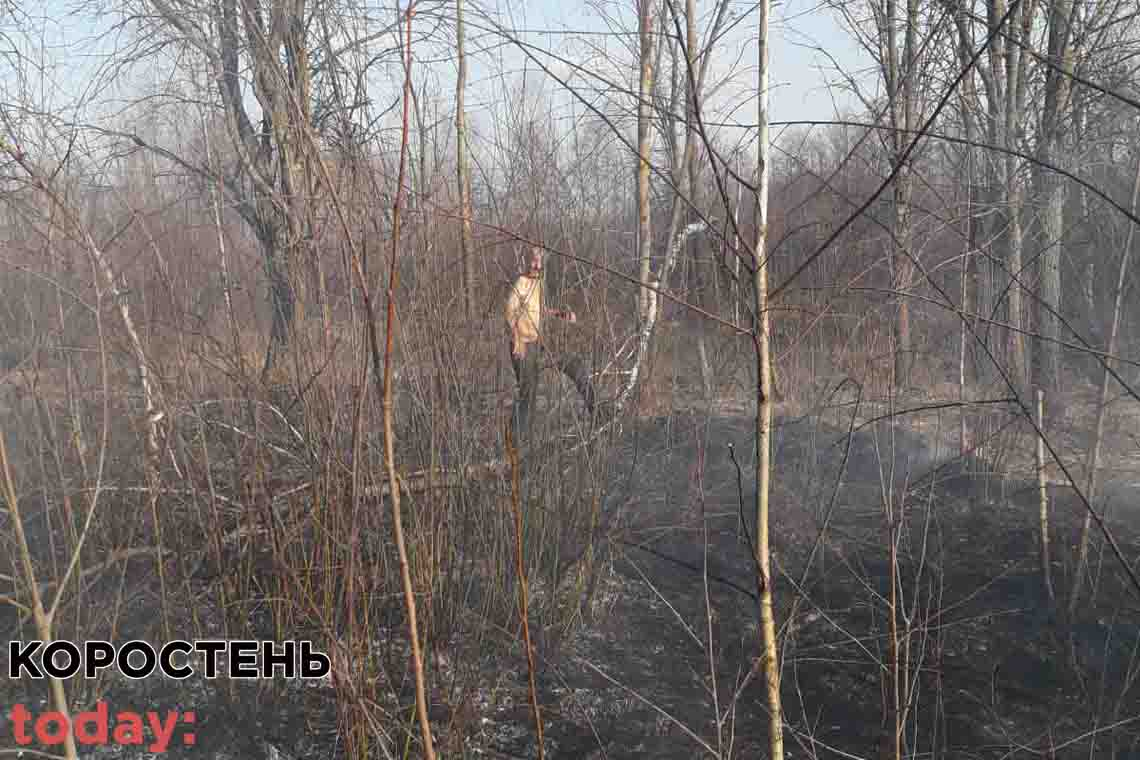 У Коростенському районі рятувальники з селянами гасили підпал сухої трави: знайдено і винуватця 📷ФОТО