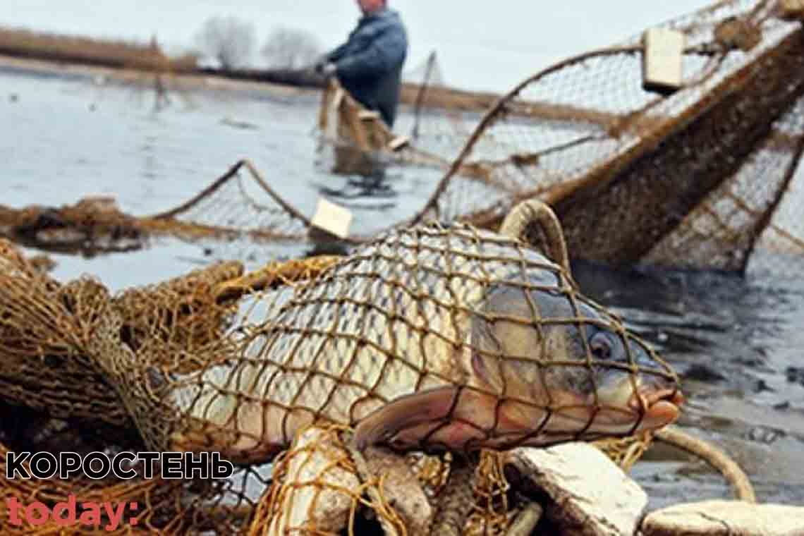 На річці Уж в Коростенському районі патруль зловив рибних "браконьєрів" ▶️ВІДЕО