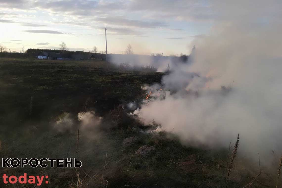 У Коростенському районі рятувальники водою та хлопавками гасили займання сухої трави, вогонь від якої наблизився до будинків