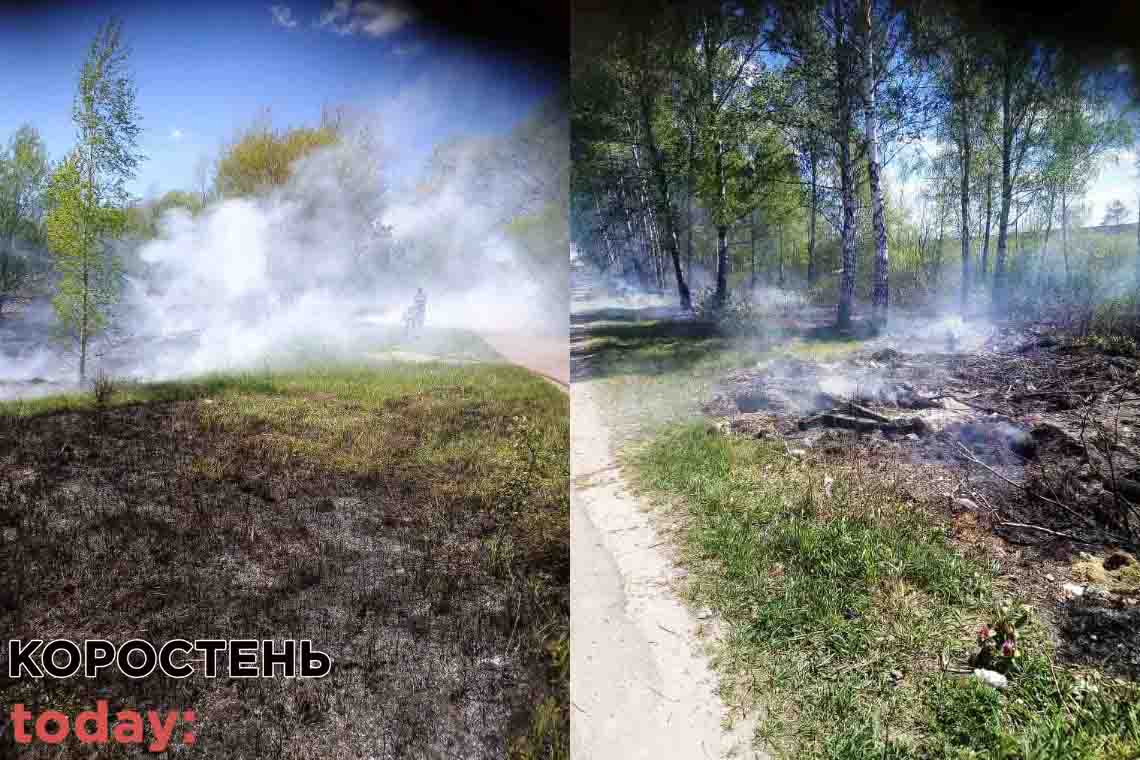 У селі Коростенського району горіла суха трава: очевидці побачили густий дим