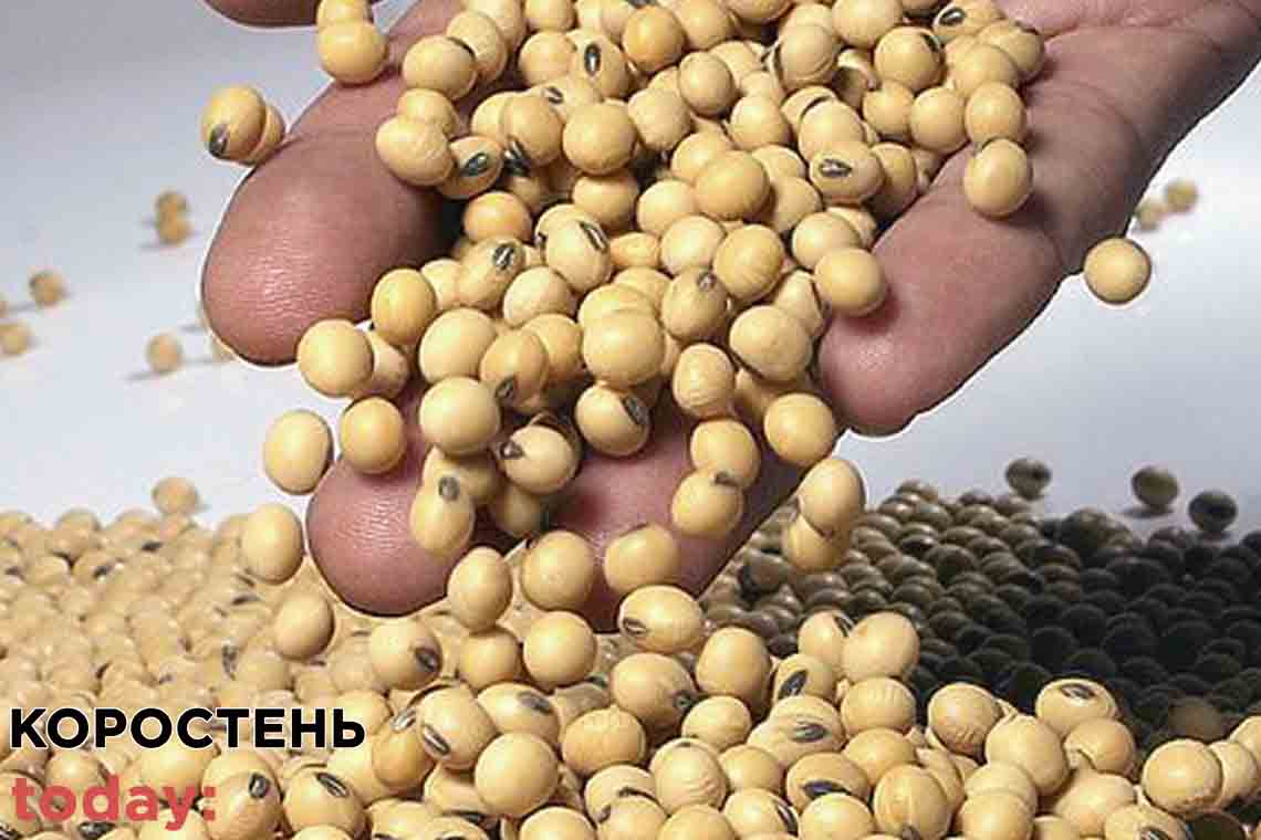 Коростенські митники не пустили в Україну сою з ГМО