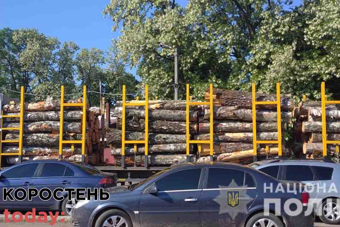 На Коростенщині поліцейські зупинили Renault: водій перевозив березові колоди