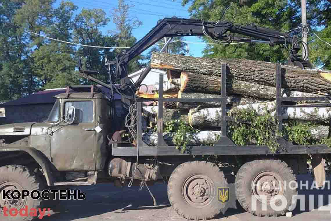 Коростенські поліцейські виявили ЗІЛ, завантажений деревиною: документів на ліс водій не мав 📷ФОТО