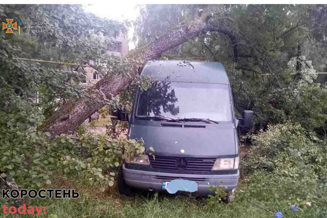 У Лугинах дерево впало на мікроавтобус