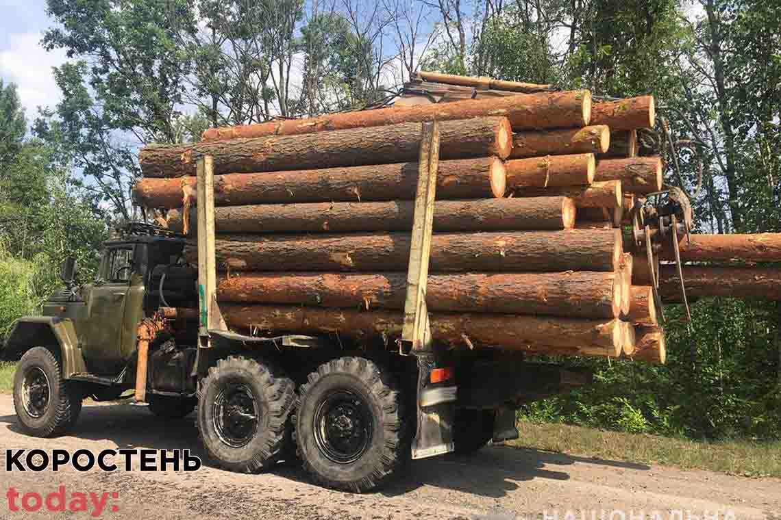 Овруцькі поліцейські затримали вантажівку з викраденою деревиною 📷ФОТО