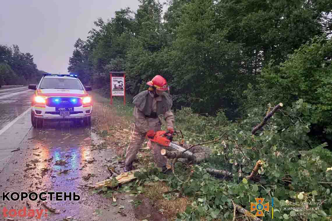 На трасі Київ-Ковель в Коростенському районі рятувальники прибирали повалене дерево 📷ФОТО