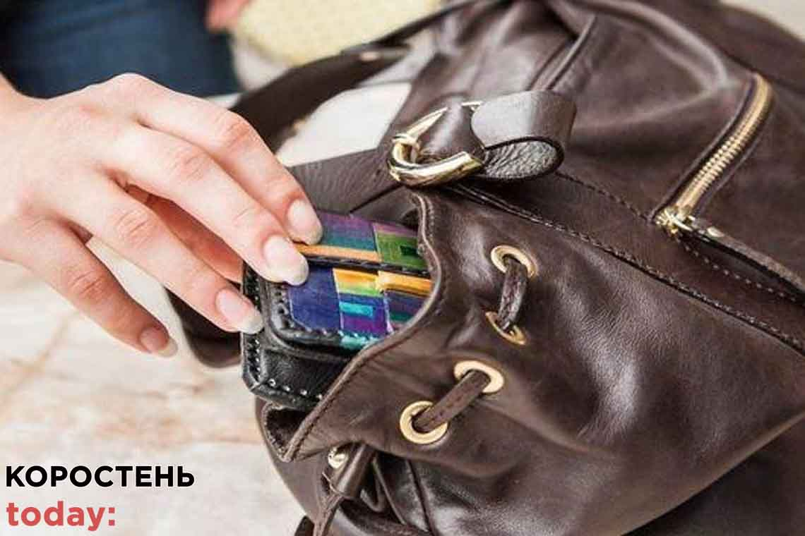 Під час відпочинку в альтанці в Овруцькому районі 38-річна жінка залишилась без сумки з грошима