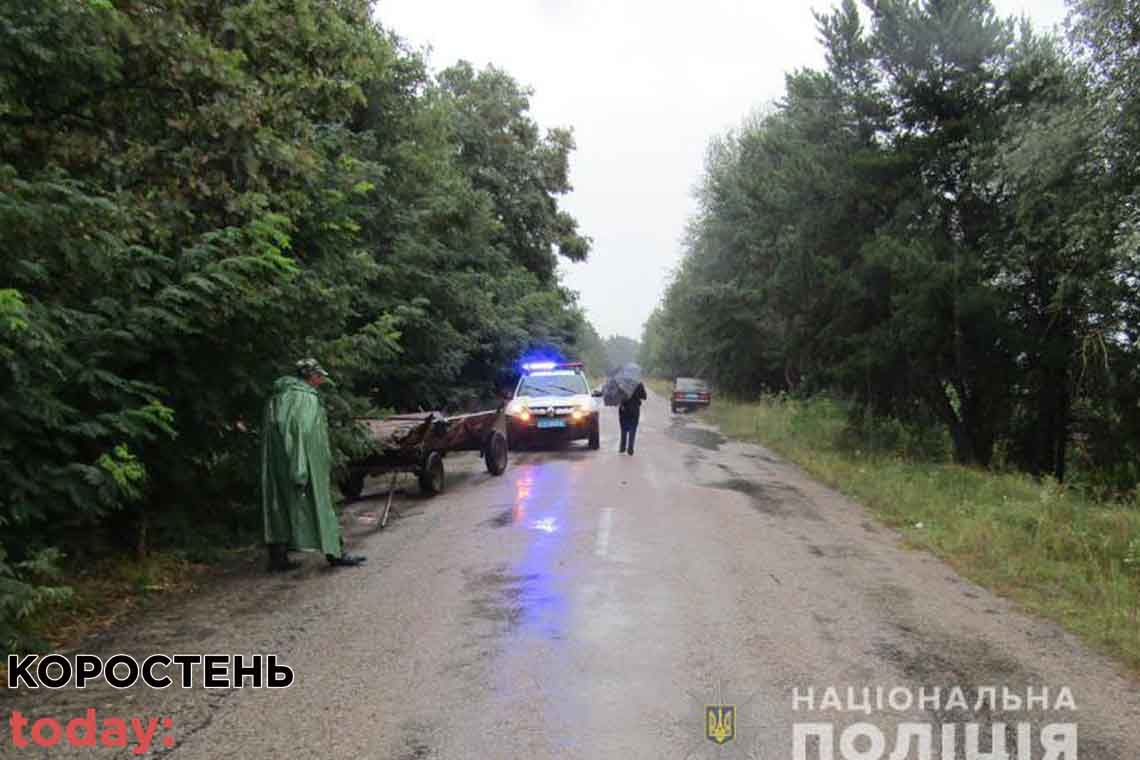 Між селами Овруцької громади "Москвич" врізався у віз та зник з місця ДТП: потерпіла жінка
