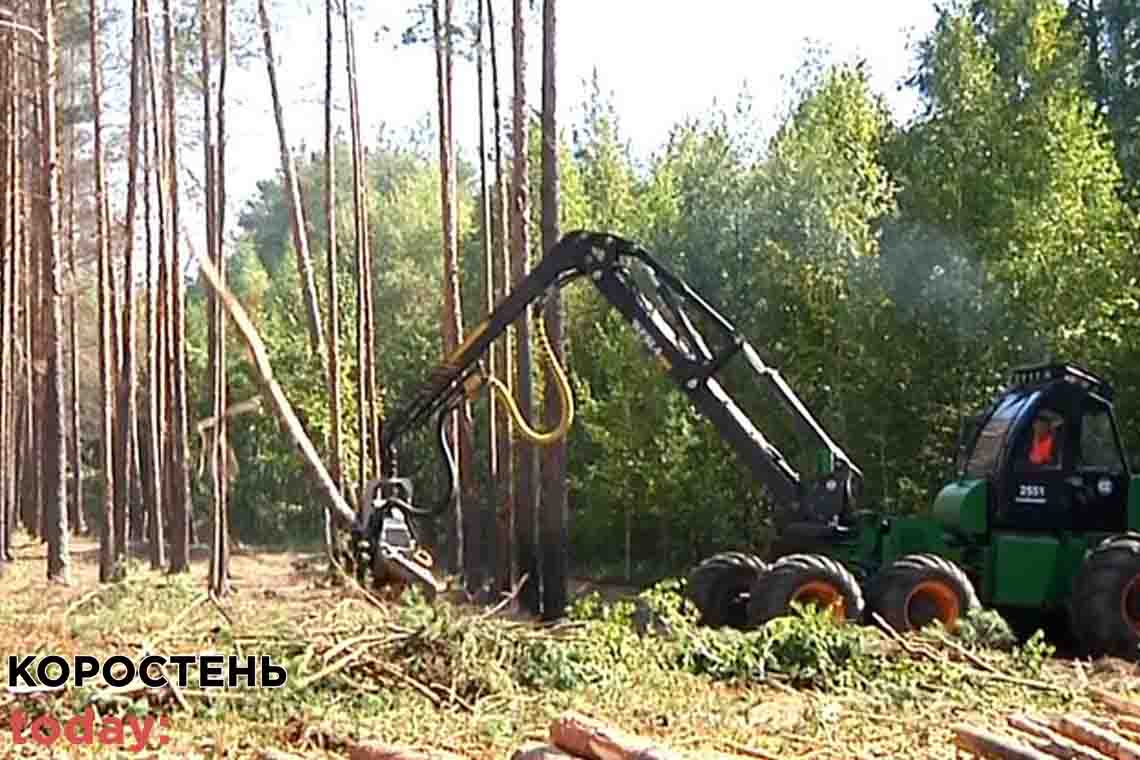 Лісівники Овручини відновлюють насадження, пошкоджені лісовими пожежами ▶️ВІДЕО