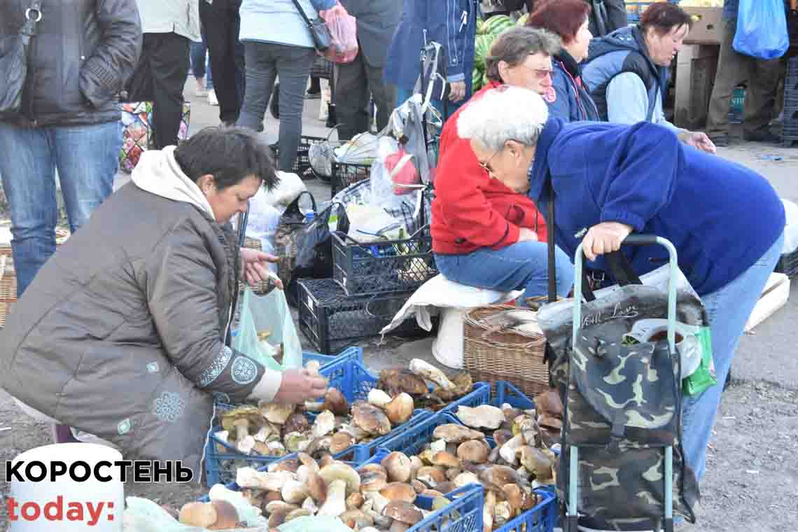 Грибний сезон на Коростенщині: де збирають і скільки коштують