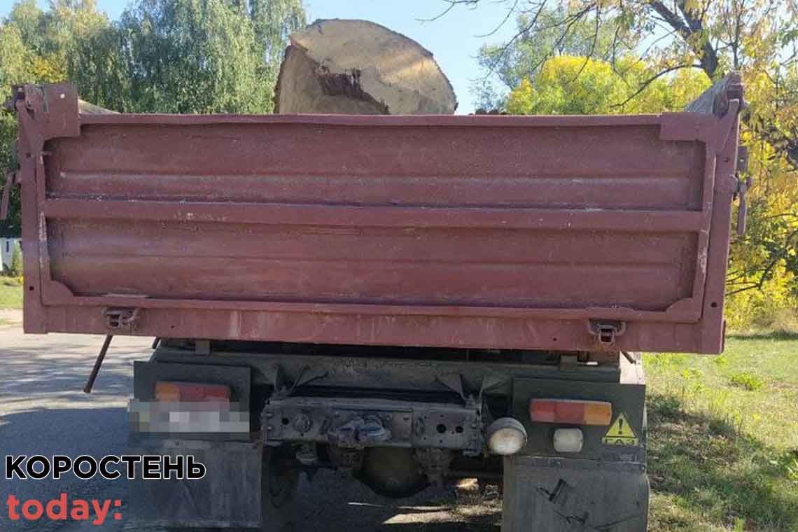 У селі на Малинщині водій перевозив деревину дуба без документів