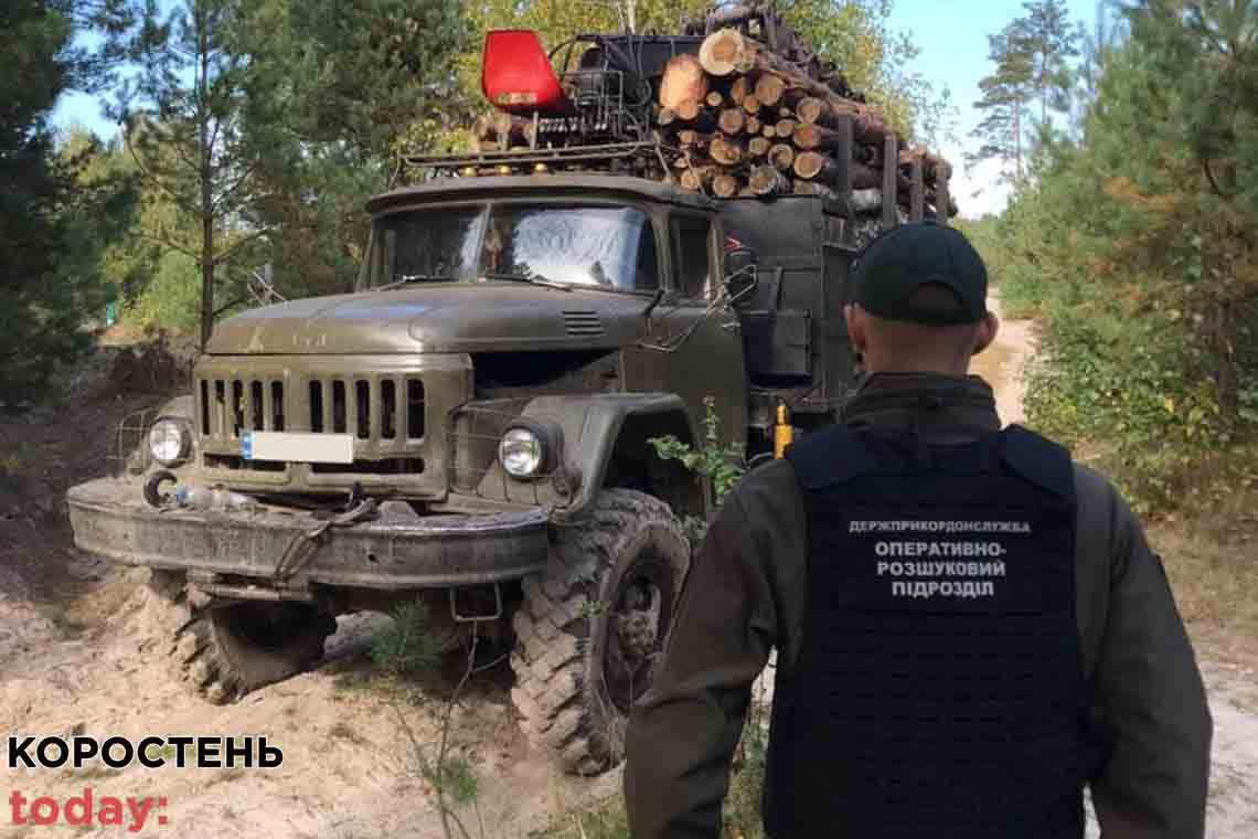 У прикордонному районі Житомирської області затримали ЗІЛ, що перевозив деревину без документів