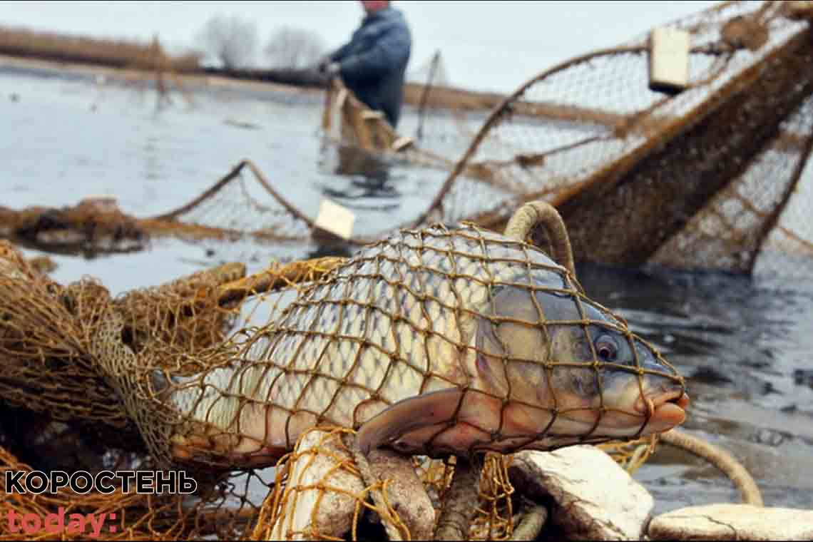 Штрафи за незаконний вилов риби різко зросли: скільки заплатять браконьєри