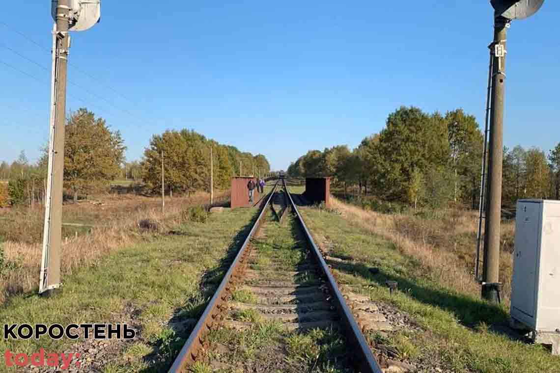 Збирала жолуді й опинилась на коліях: на Олевщині жінку переїхав потяг
