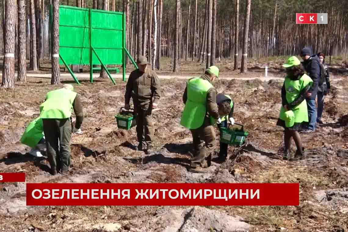 18 жовтня на Житомирщині висадять 1 мільйон дерев