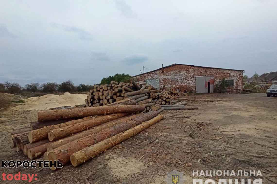 На пилорамі на території Малинщини поліцейські виявили необлікований ліс 📷ФОТО