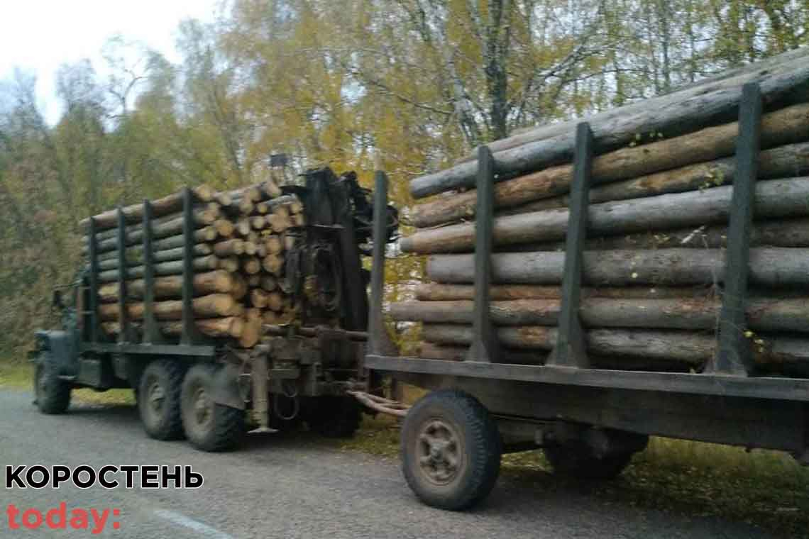Житель Коростенщини перевозив деревину без документів, водія затримали 📷ФОТО