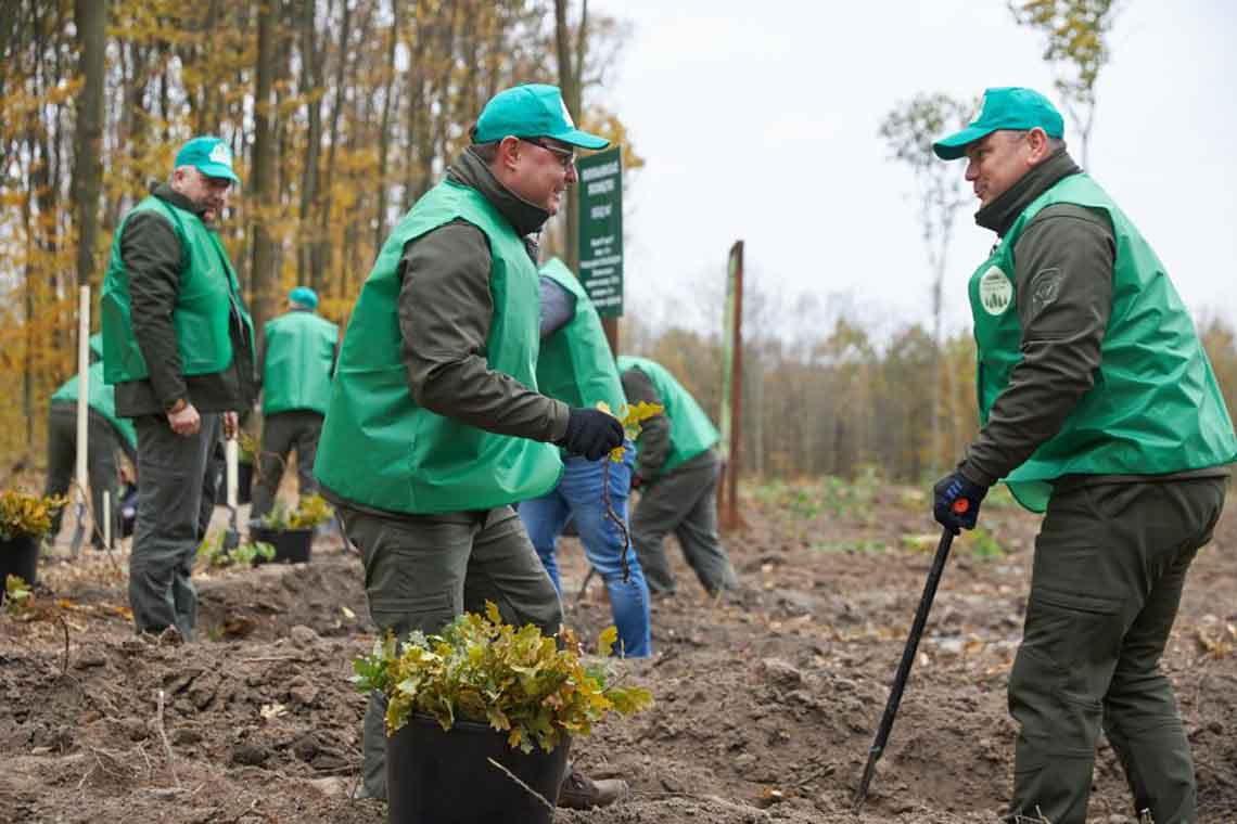 У межах ініціативи Президента на Житомирщині за 1 день висадили 1 мільйон дерев