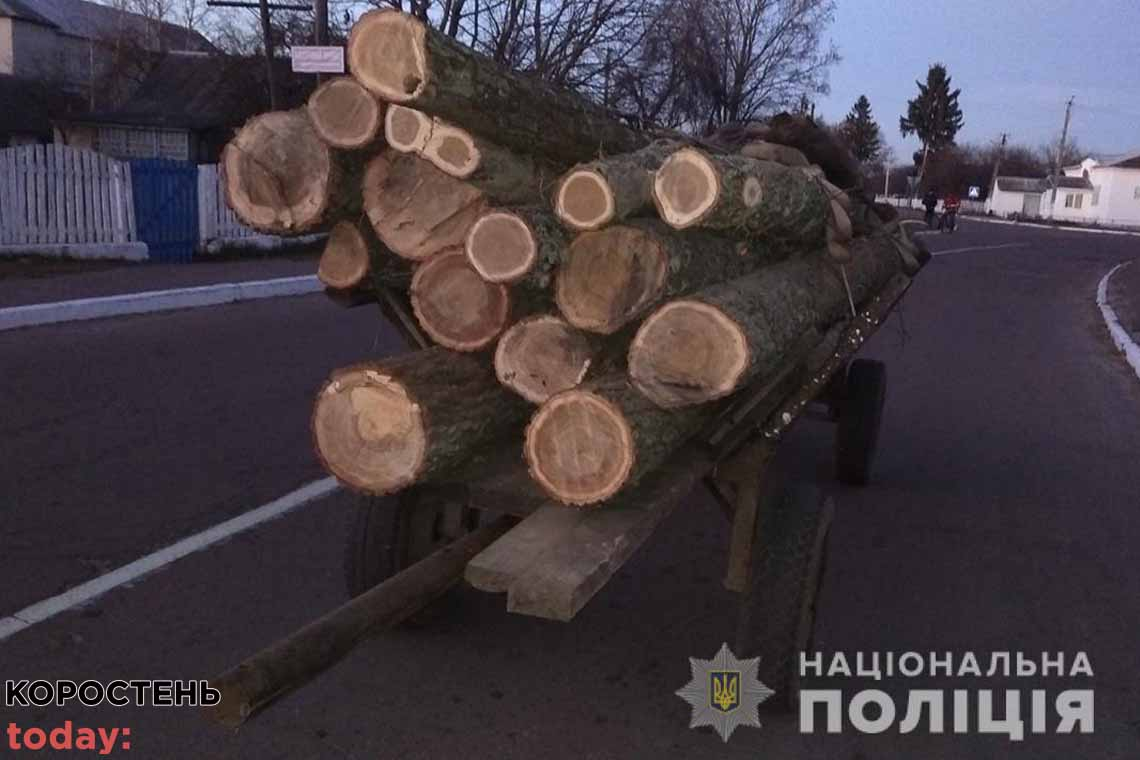На Олевщині крадуть ліс: упродовж доби виявили два факти незаконних оборудок з лісом 📷ФОТО