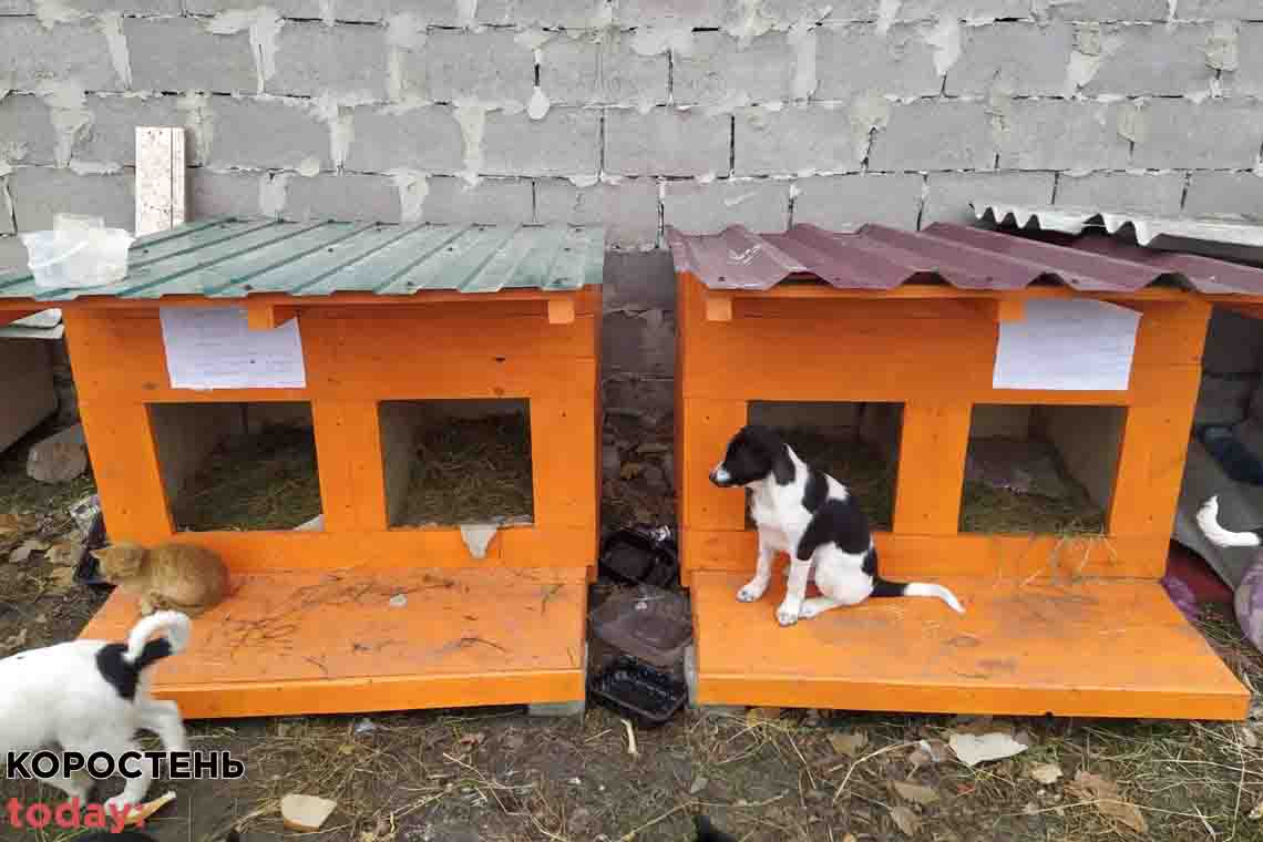В Овручі виготовили та встановили два будиночки для тварин 📷ФОТО