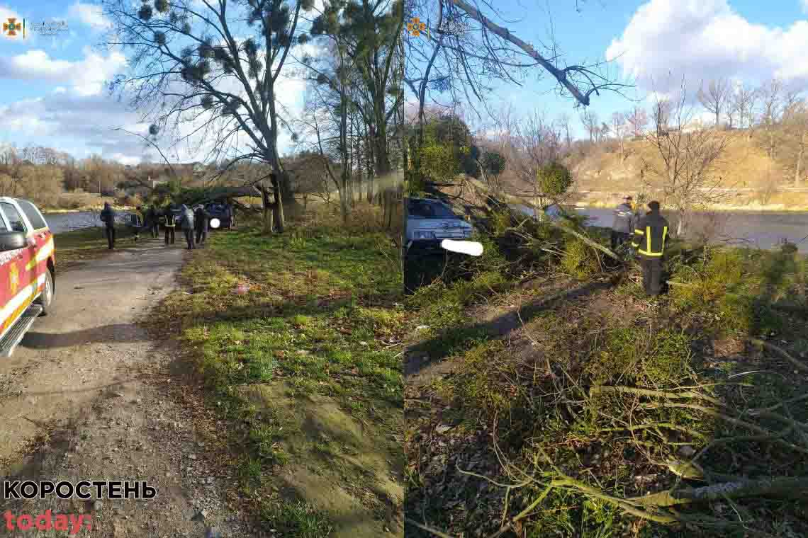 З дороги в селі Коростенського району рятувальники прибирали 5 повалених дерев