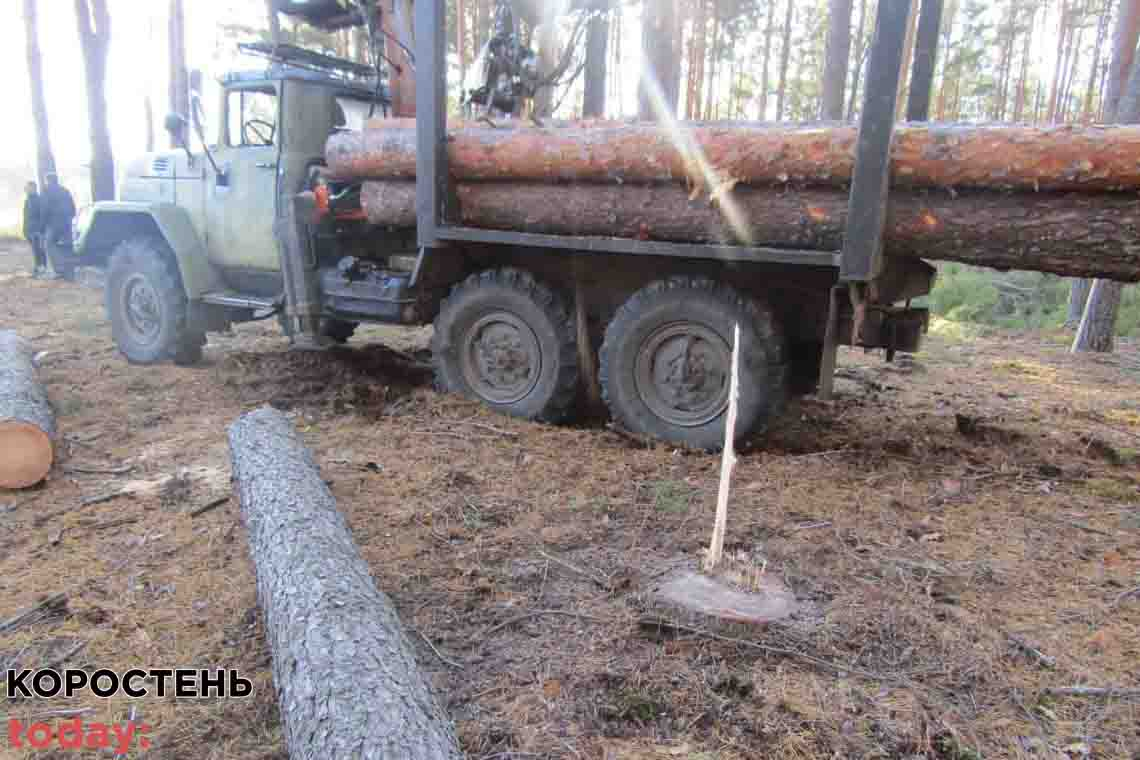 На території Овруцької громади місцевий житель винайняв автомобіль на поїхав до лісу по дерева: у прокуратурі нарахували збитків на 125 тис. грн