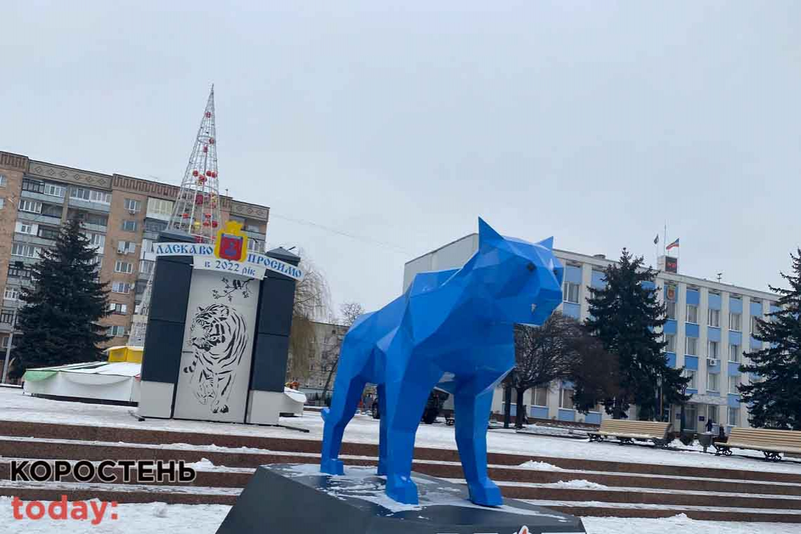 Біля міськради в Коростені з'явились фотозони з тигром, металеві сани Санта Клауса, Дід Мороз та Снігуронька 