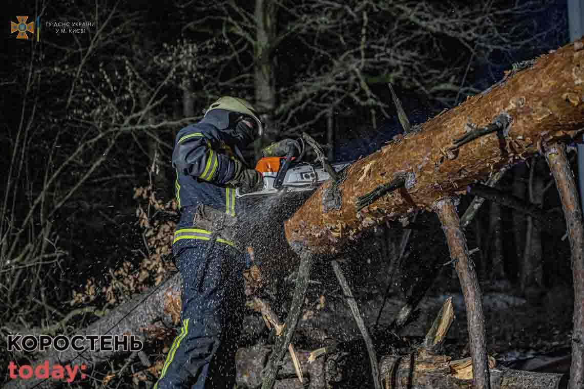 З доріг Коростенського району рятувальники прибирали повалені негодою дерева