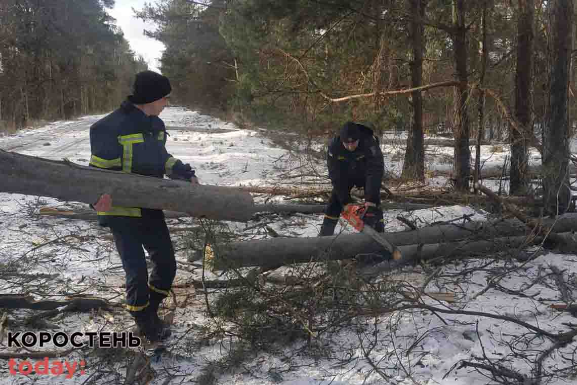 У двох селах Малинської громади рятувальник прибирали повалені негодою дерева 📷ФОТО