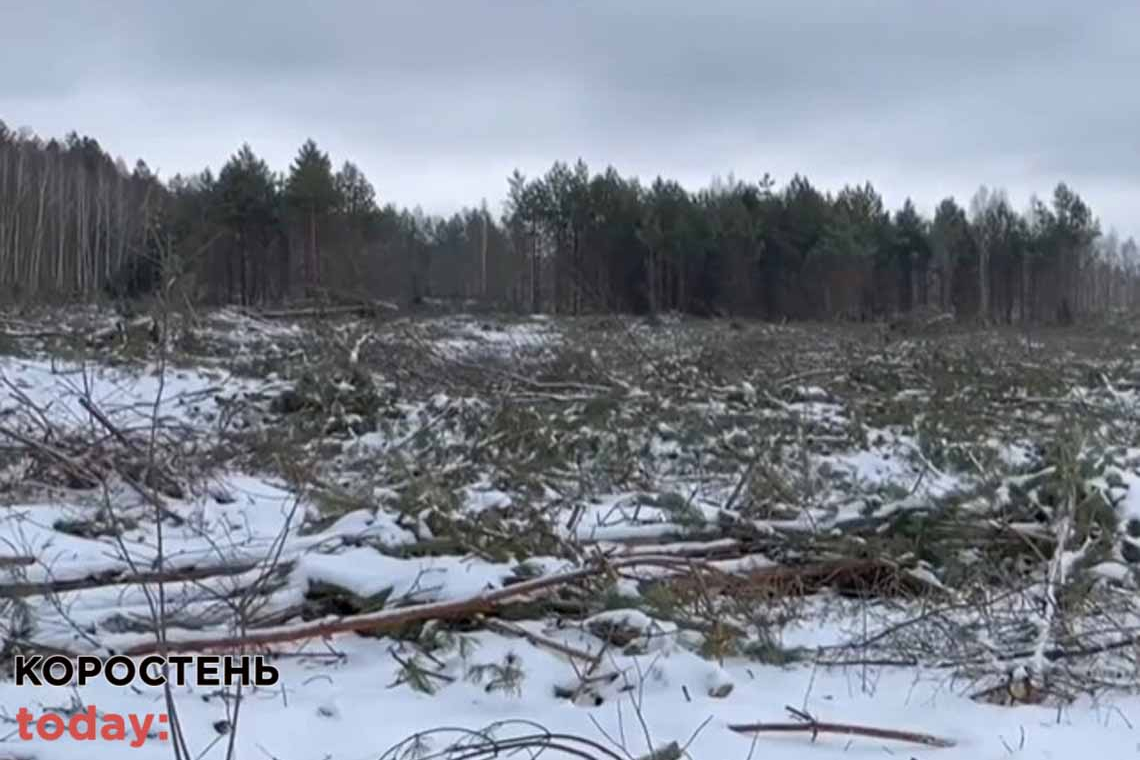 Неподалік двох сіл Коростенського району правоохоронці зафіксували незаконну рубку дерев