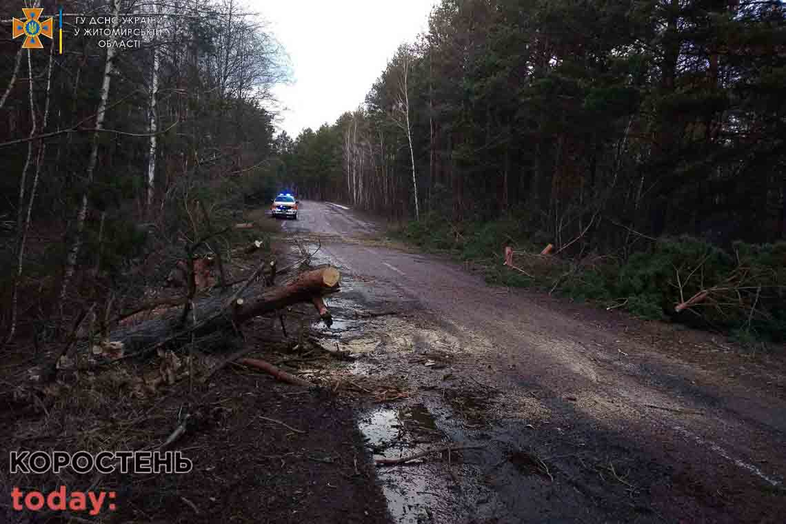 Через негоду на трасі Овруч-Словечне впали дерева та повністю перекрили рух транспорту 📷ФОТО