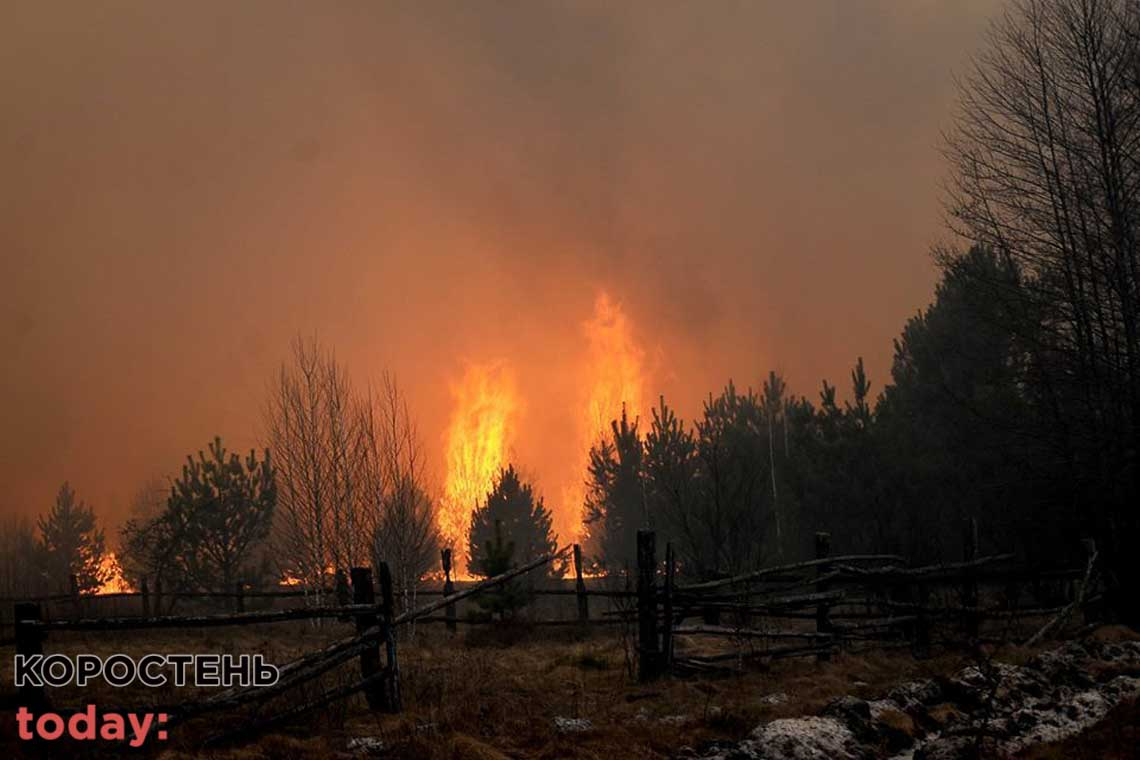 У Генпрокуратурі відповіли на запит нардепів про розслідування справ щодо масштабних лісових пожеж на території Овруцької та Олевських громад