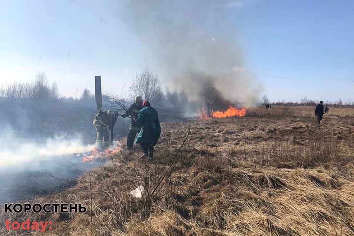 У Коростені горіла суха трава, містяни поскаржились на смог диму