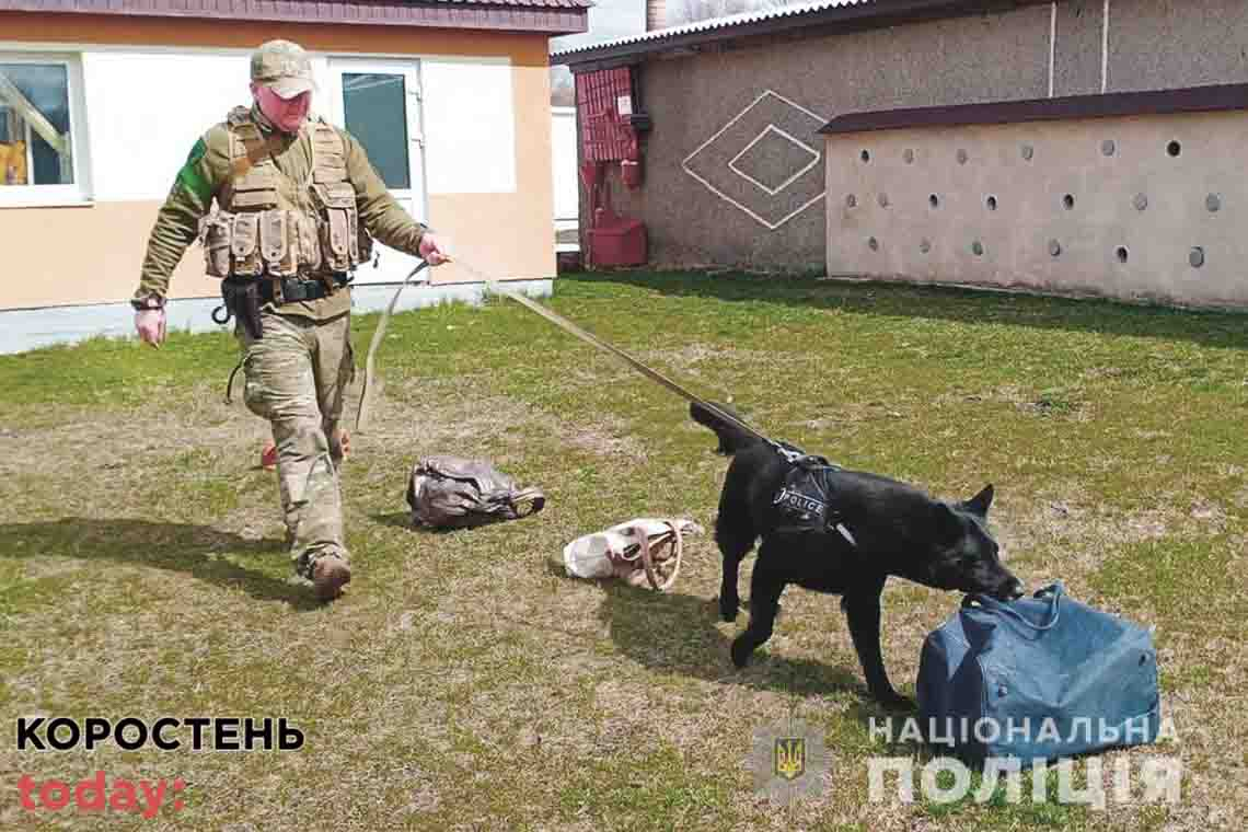 З кінологами в Житомирській області працюють 5 собак, які шукають зброю та вибухівку