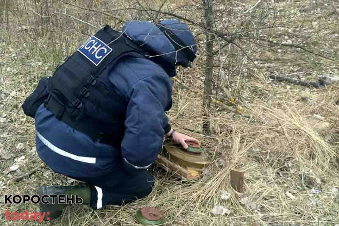 В Коростенському районі за тиждень піротехніки обстежили 35 га території: виявили 244 сучасних вибухонебезпечних предметів