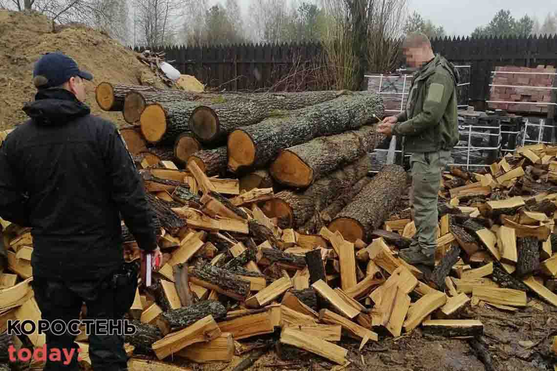 На Коростенщині викрили підприємця, який організував "бізнес" на незаконній вирубці дерев (ФОТО)