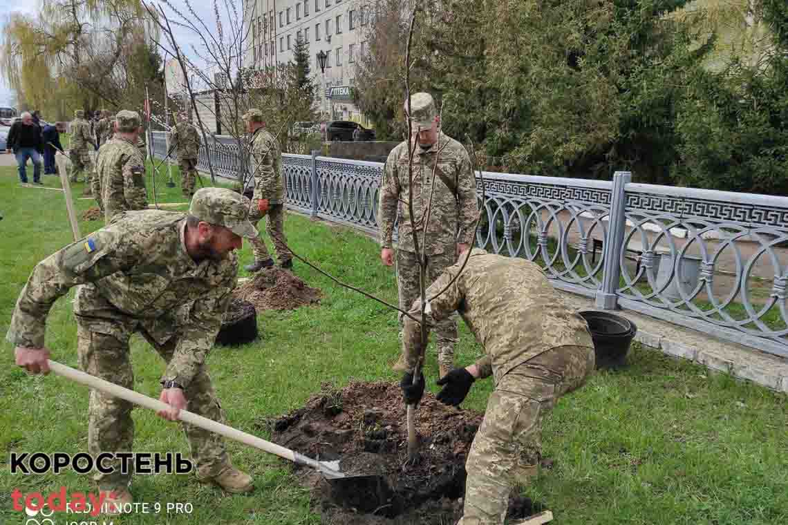 У Малині військові висадили майже 60 дерев  у пам'ять про загиблих бійців прикарпатської "десятки" (ФОТО)
