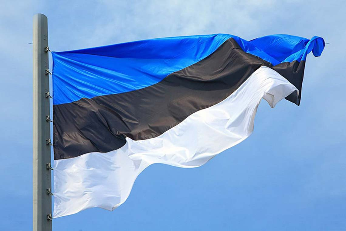 Естонія займеться відновленням Житомирської області
